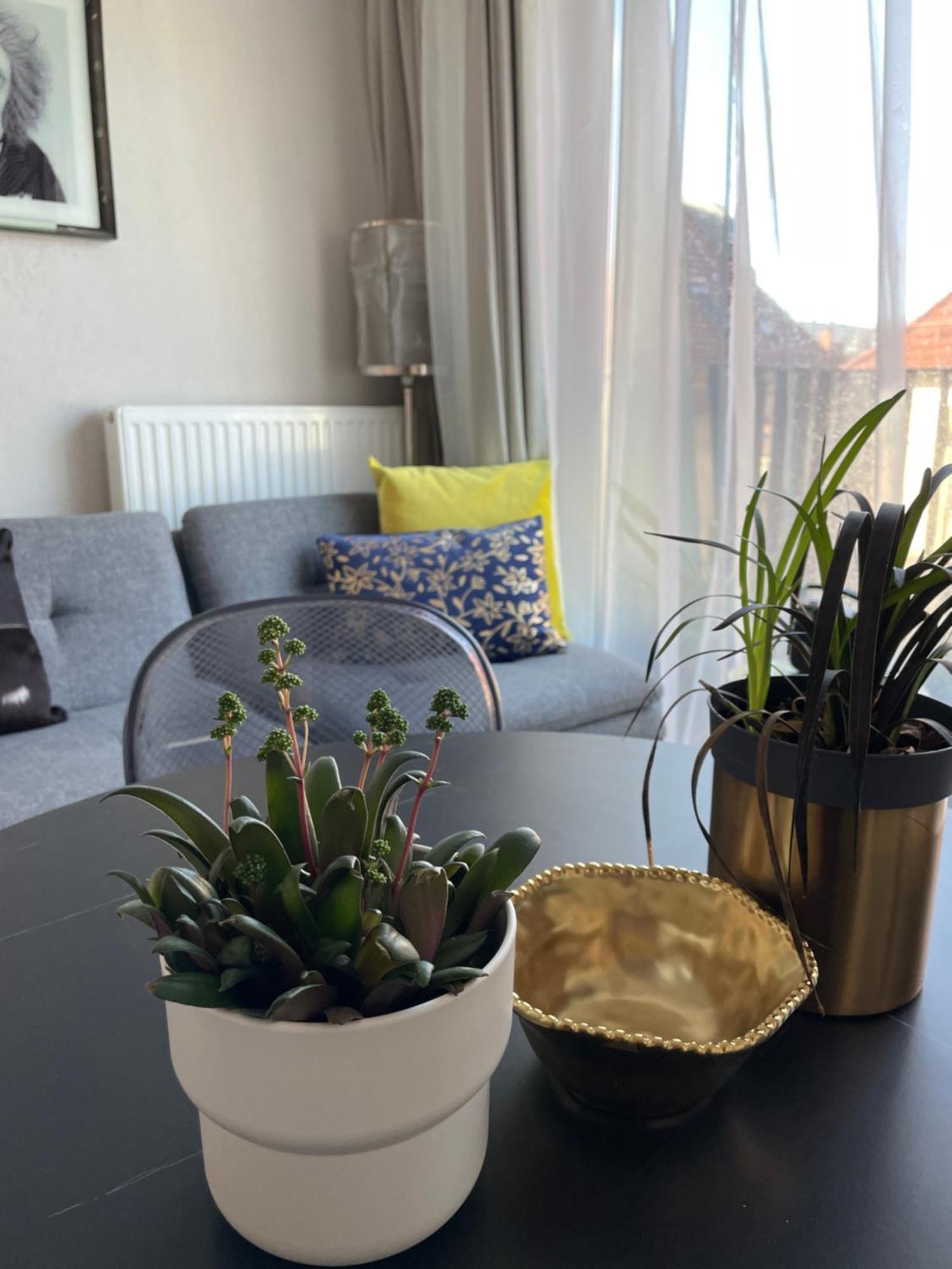 Apartment Piper Gold Targi *